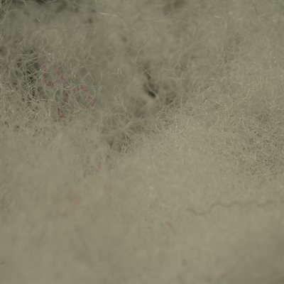 Semperfli Sparkle Dubbing White
