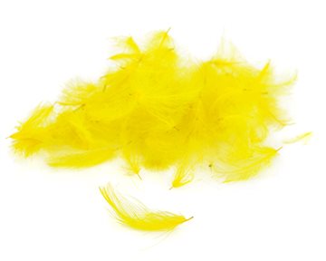 Premium CDC Fluo Yellow
