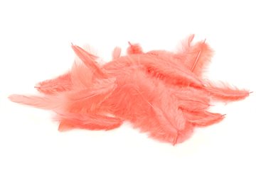 Metz Soft Hackle Shrimp Pink