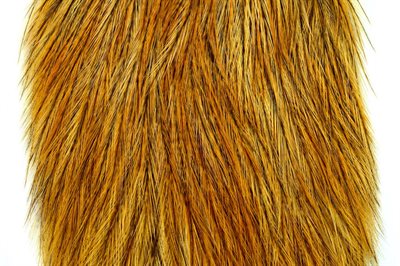 Whiting Coq De Leon Rooster Cape Copper Olive