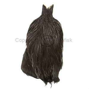 Whiting Rooster Cape Black (1/1 cape)