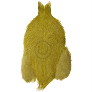 Whiting Rooster Cape Olive (1/1 cape)