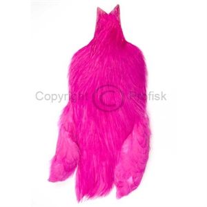 Whiting Rooster Cape Pink