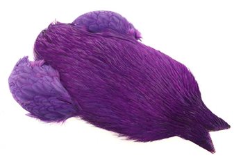 Whiting 4B Rooster Cape Purple