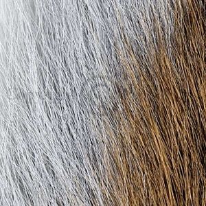 Bucktail Pearl Gray