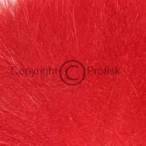 Arctic Fox, tail hair Red