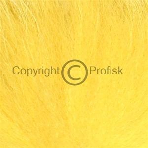 Arctic Fox, tail hair Yellow