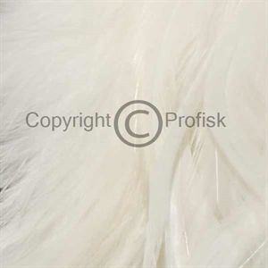 Schlappen feathers L White