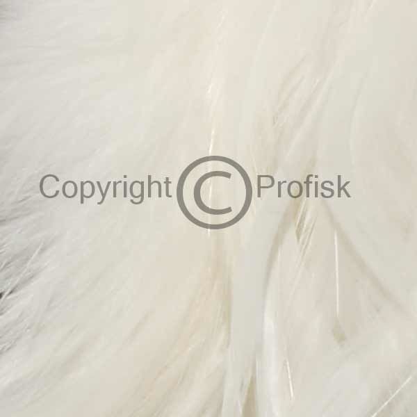 Schlappen feathers L White