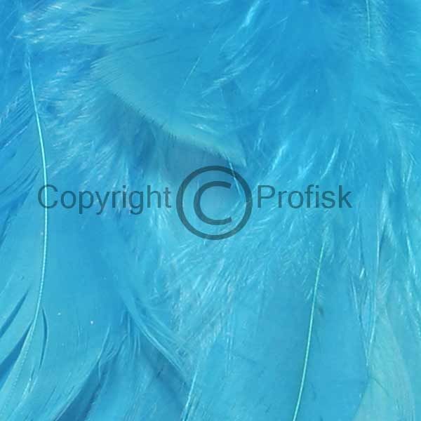 Schlappen feathers L Kingfisher Blue