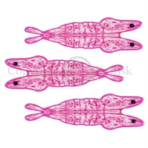 Pro 3D Shrimp Shell Small Clear/Pink