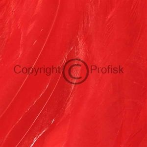 Schlappen feathers L Red