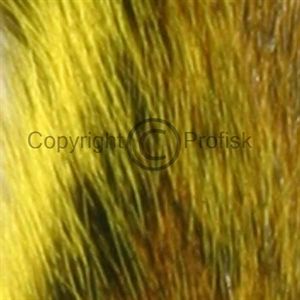 Silver Tippet Squirrel Fl. Yellow