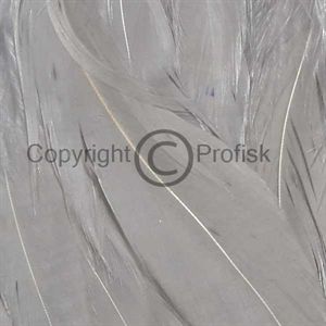 Schlappen feathers L Grey