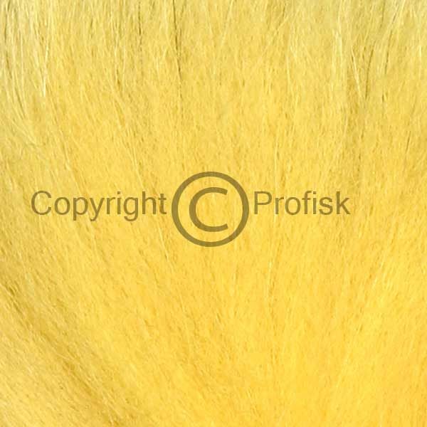 Arctic Fox, tail hair Golden
