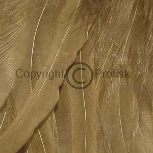 Schlappen feathers L Olive