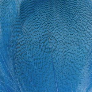 Grey Mallard Select Peacock Blue