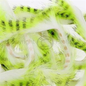 Tiger Barred Strips 3 mm. Black/Chartreuse/White