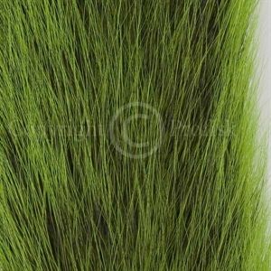 Silver Tippet Squirrel Green
