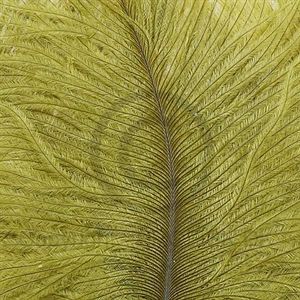 Spey Plumes Light Olive