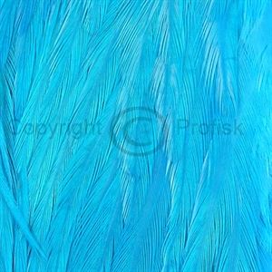 Keough 1/2 Saddle Kingfisher Blue