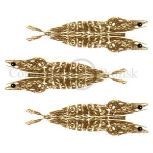 Pro 3D Shrimp Shell XX-Small Brown/Clear