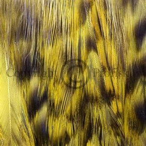 Cock Hackles Grizzly Yellow