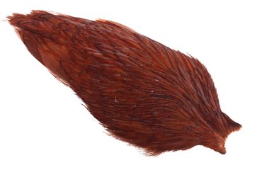 Whiting American Rooster Cape Coachman Brown