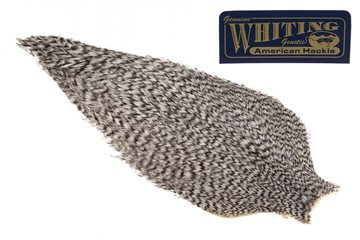 Whiting American Rooster Cape Grizzly
