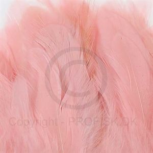 Schlappen feathers M. Shrimp Pink