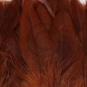 Schlappen feathers M. Brown