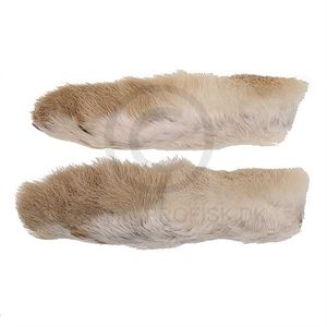 Snowshoe Rabbit Feet Natural White