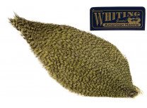 Whiting American Rooster Cape Grizzly Olive